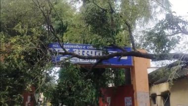 रामगढ़ में बारिश का कहर: रेफरल अस्पताल के मुख्य गेट पर गिरा विशाल पेड़, मरीजों की बढ़ी परेशानी